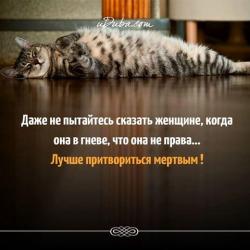 thumb_pre_1479937367__15134641_145120967