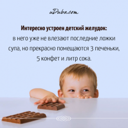 thumb_pre_1480333800__15241763_145354956