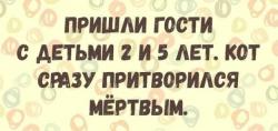 thumb_pre_1480505497__3gl1jachhmu.jpg