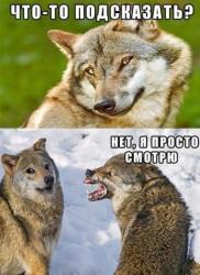 thumb_pre_1480855643__xlmrtzhfoco.jpg