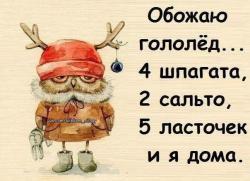 thumb_pre_1481906513__f1-lwhlctcq.jpg