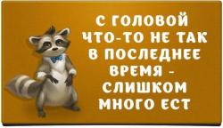 thumb_pre_1483559513__e4m9wqv_sss.jpg