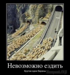 thumb_pre_1487182148__fullsize.jpg