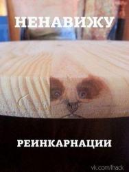 thumb_pre_1488052110__image_13.jpg