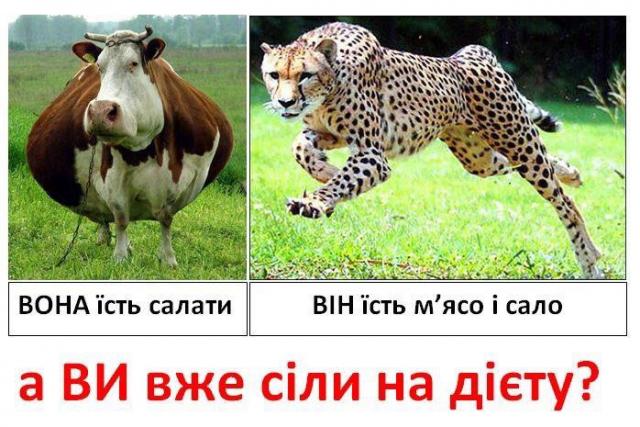 pre_1489918554__image_1.jpg