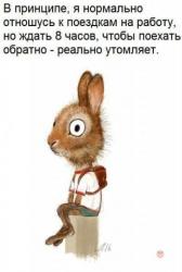 thumb_pre_1489755218__yww5puieho4.jpg