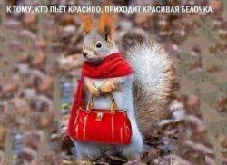 thumb_pre_1489764957__17103674_745283652