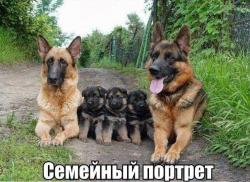 thumb_pre_1401345992__zzlcxwruc6c.jpg