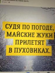 thumb_pre_1492585115__0-02-05-645f4a1020