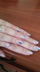 thumb_pre_1495783304__.jpg
