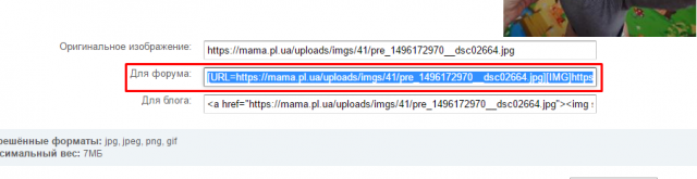 pre_1496173039__0bd35ff4aa624ec4a4da416e