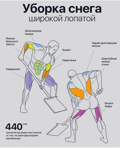 pre_1519895656__img_4302.png
