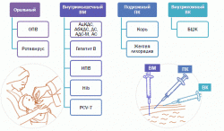 thumb_pre_1518120319__02-routes-of-admin