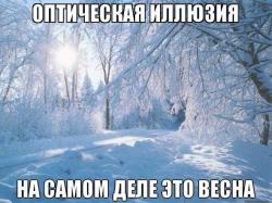 thumb_pre_1519884923__img-0b86cd5fd693ce