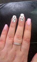 thumb_pre_1520870657__29133935_163826115