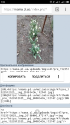 thumb_pre_1523513194__screenshot_2018-04