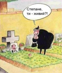 thumb_pre_1524739011__78.jpg