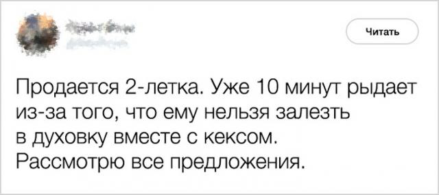 pre_1529182418__image.jpeg
