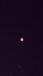 thumb_pre_1532720692__img-2d21836968b0ff