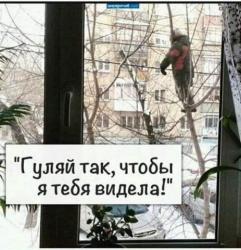 thumb_pre_1541318124__img-aafb49f066b315