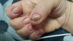 thumb_pre_1545421640__xyg_jssqr1y.jpg