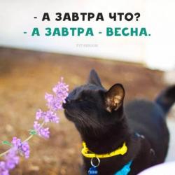 thumb_pre_1582982311__fb_img_15829822909