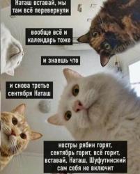 thumb_pre_1630646572__img-11ecbee9ffe6ed