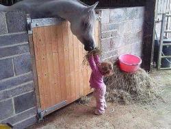 thumb_pre_1407177225__getimage.jpeg