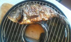 thumb_pre_1409820466__.jpg