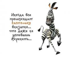 thumb_pre_1410698694__getimage.jpg