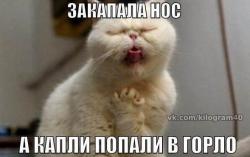 thumb_pre_1412685455__qzsg_zir2di.jpg