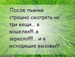 thumb_pre_1413352961__image.jpg