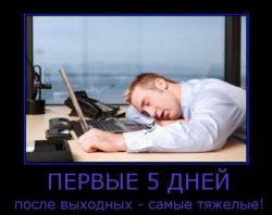 thumb_pre_1413787405__getimage.jpg