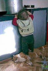 thumb_pre_1414958462__getimage.jpeg