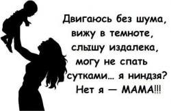 thumb_pre_1415172802__r5v5w1lgbuk.jpg